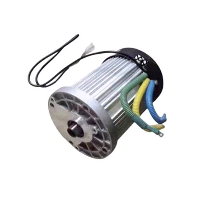 48V 60V elektrický 1000W bezuhlíkový jednosmerný motor